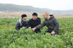 财产融合的浦城实践：一粒米取一片叶的共生之