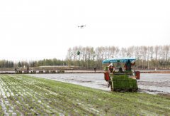 科技赋能解锁插秧“新姿态”