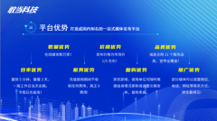 2025年湖北收集推广公司保举：行业办事优